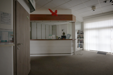 Repräsentative Gewerbeimmobilie mit Entwicklungspotenzial nahe Klinikneubau & Gewerbepark! - Austellungsraum Empfang (39331)