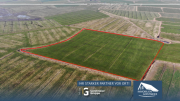 Zukunft sichern mit Land – Ländereien in Dornum-Nesse, 26553 Dornum, Land-/Forstwirtschaft