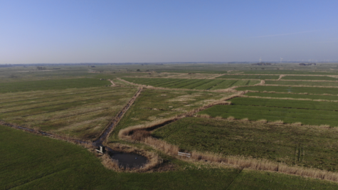 Land-/Forstwirtschaft in Dornum - Fläche 3 (42407)