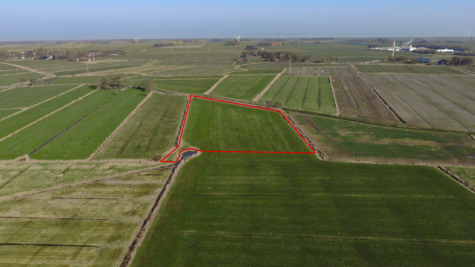 Zukunft sichern mit Land – Ländereien in Dornum-Nesse - Fläche 1 (42448)