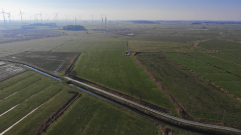 Land-/Forstwirtschaft in Dornum - Fläche 1 (42400)