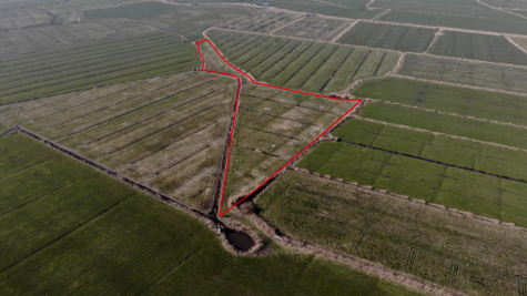 Land-/Forstwirtschaft in Dornum - Fläche 3 (42405)