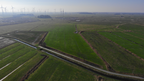 Zukunft sichern mit Land – Ländereien in Dornum-Nesse - Fläche 1 (42450)