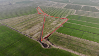 Fläche 3 - Zukunft sichern mit Land – Ländereien in Dornum-Nesse
