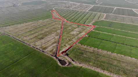 Zukunft sichern mit Land – Ländereien in Dornum-Nesse - Fläche 3 (42454)