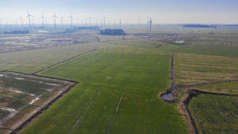 Zukunft sichern mit Land – Ländereien in Dornum-Nesse - Fläche 2 (42453)