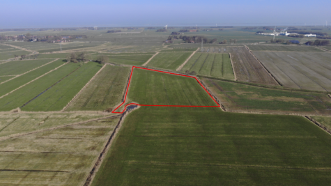 Land-/Forstwirtschaft in Dornum - Fläche 1 (42399)