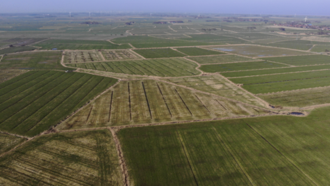 Land-/Forstwirtschaft in Dornum - Fläche 3 (42406)