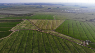 Fläche 3 - Zukunft sichern mit Land – Ländereien in Dornum-Nesse