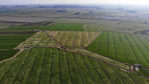 Zukunft sichern mit Land – Ländereien in Dornum-Nesse - Fläche 3 (42456)
