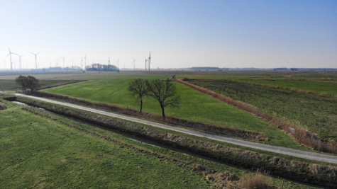 Zukunft sichern mit Land – Ländereien in Dornum-Nesse - Fläche 1 (42449)