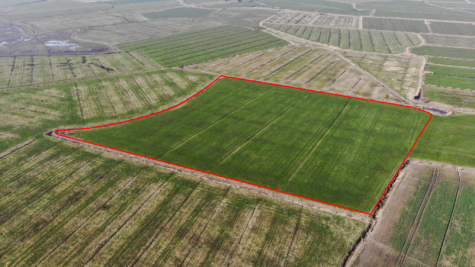 Zukunft sichern mit Land – Ländereien in Dornum-Nesse - Fläche 2 (42451)