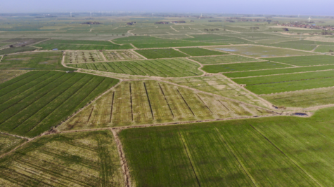 Zukunft sichern mit Land – Ländereien in Dornum-Nesse - Fläche 3 (42457)