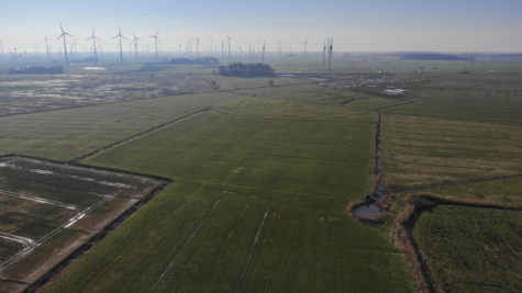 Land-/Forstwirtschaft in Dornum - Fläche 2 (42404)