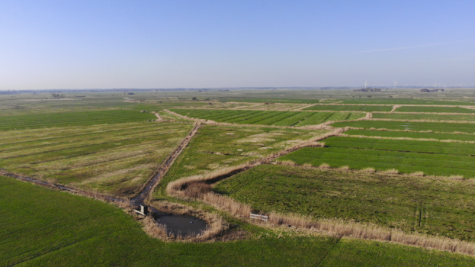 Zukunft sichern mit Land – Ländereien in Dornum-Nesse - Fläche 3 (42455)