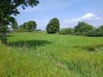 Grünland in der Samtgemeinde Hesel, Ortsteil Neuefehn - 20250618_114852
