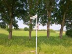 Grünland in der Samtgemeinde Hesel, Ortsteil Neuefehn - 20250618_114348