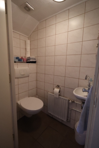 Naturliebhaber aufgepasst! Charmantes Einfamilienhaus in idyllischer Lage von Jheringsfehn - WC (34619)