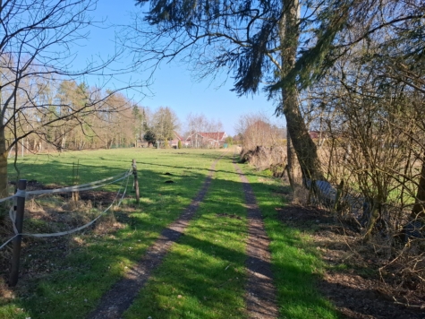 Naturliebhaber aufgepasst! Charmantes Einfamilienhaus in idyllischer Lage von Jheringsfehn - Zuwegung (34602)