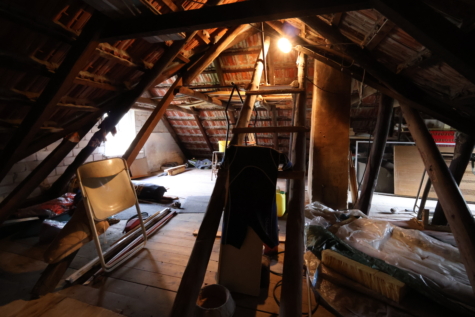 Naturliebhaber aufgepasst! Charmantes Einfamilienhaus in idyllischer Lage von Jheringsfehn - Dachboden (34622)