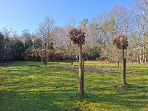 Naturliebhaber aufgepasst! Charmantes Einfamilienhaus in idyllischer Lage von Jheringsfehn - Garten (34601)