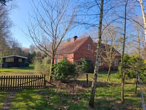 Naturliebhaber aufgepasst! Charmantes Einfamilienhaus in idyllischer Lage von Jheringsfehn - Ansicht von der Zuwegung (34593)