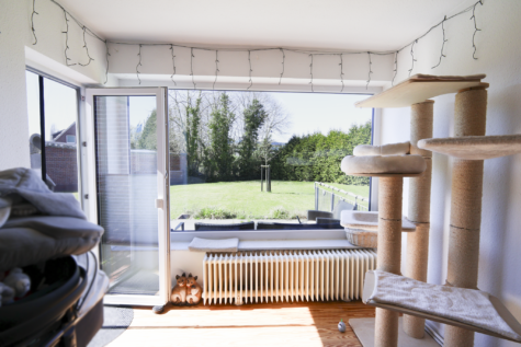 Einfamilienhaus in fußläufiger Entfernung zur Auricher Innenstadt - Blick in den Garten (42534)